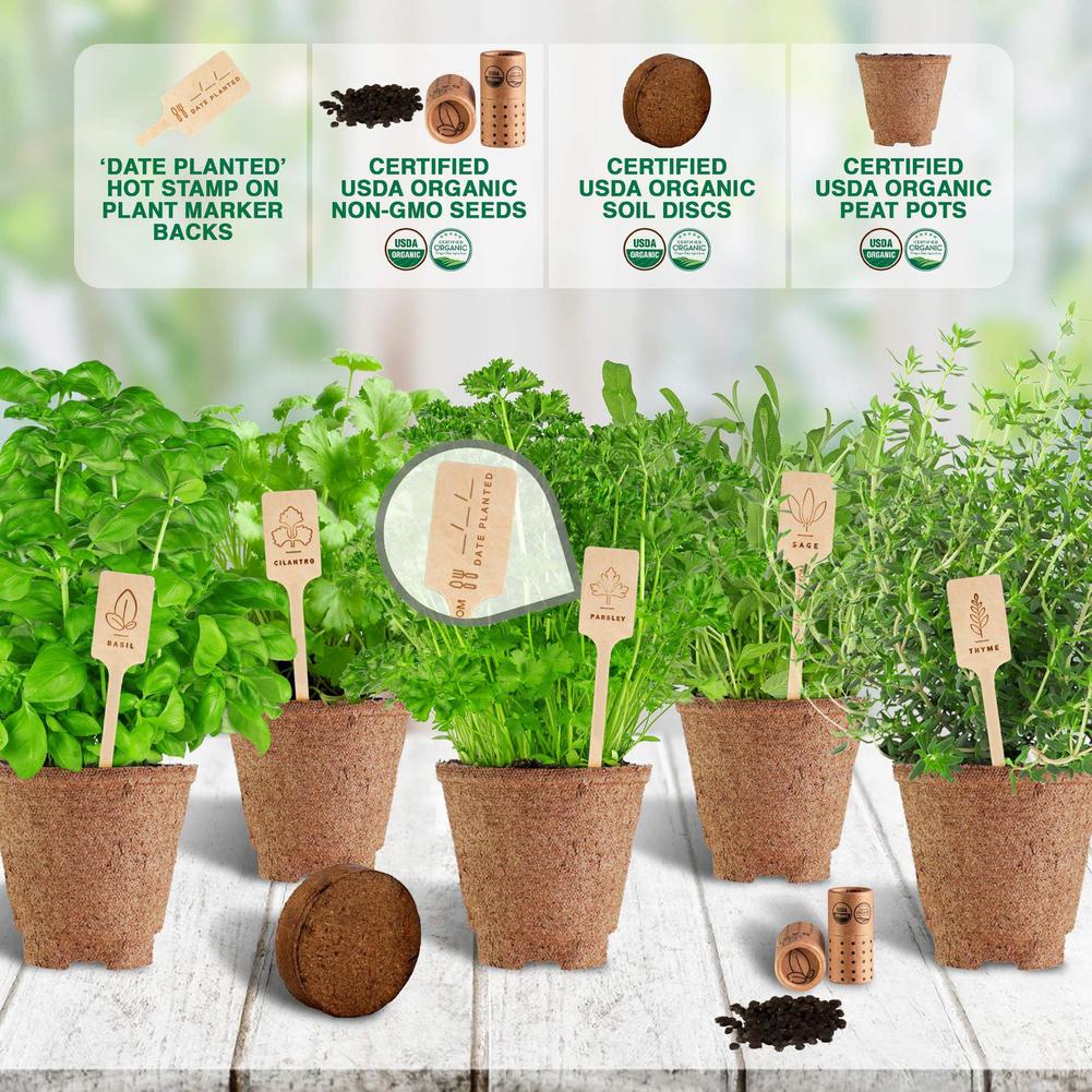 DIY Garden Starter Kit Handmade Durable Grow Set Growing Herbs Indoor Planting For Home Window Sills Apartments