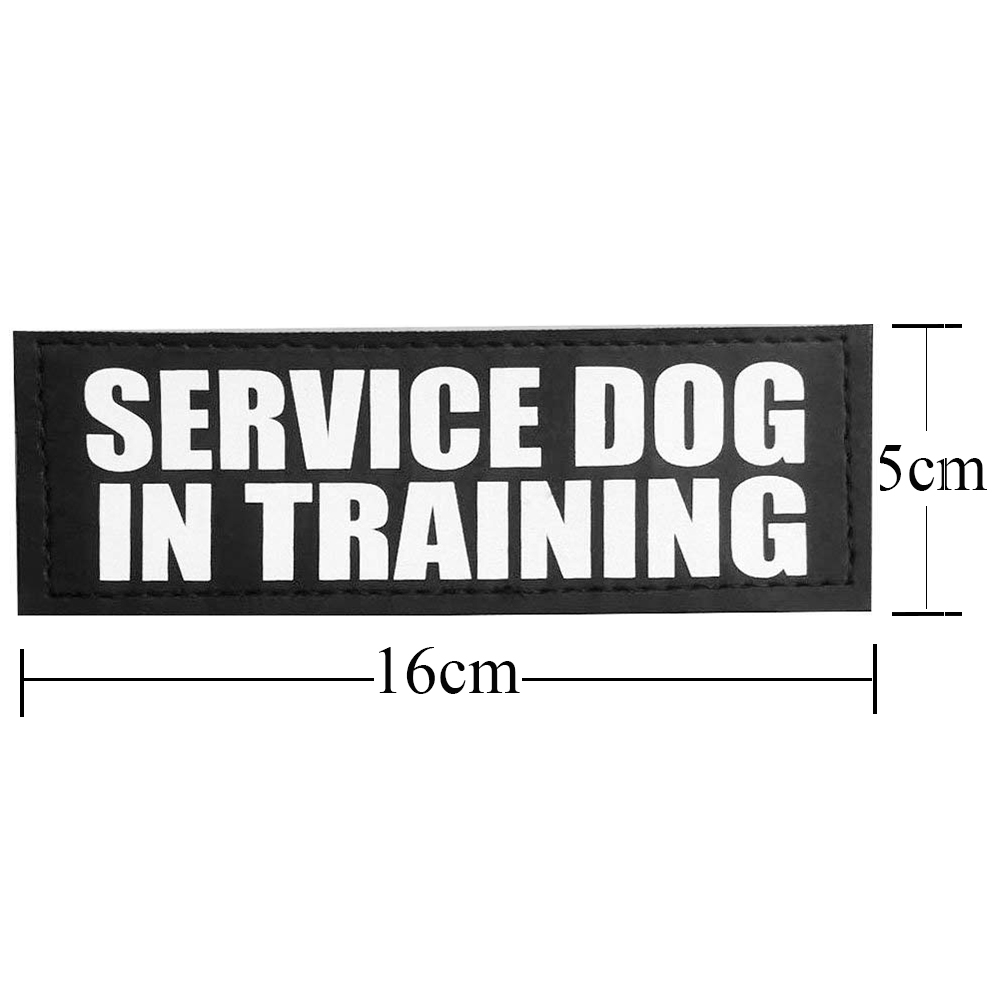 Hund tag patch til kæledyr hund krave sele vest service hund i træning velcro patches terapi hund tags: Sd i træning