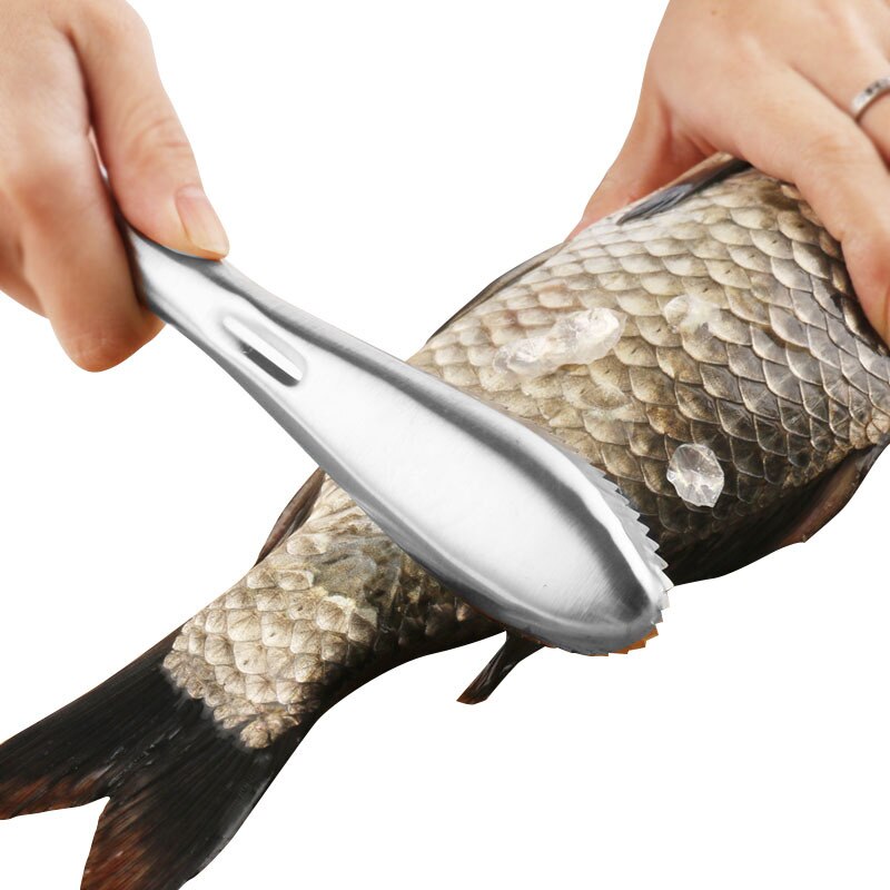 Keuken Koken Gereedschap Vis Schoonmaken Mes Skinner Vis Huid Schraper Rvs Schubben Vissen Schoonmaken Keuken Gadget