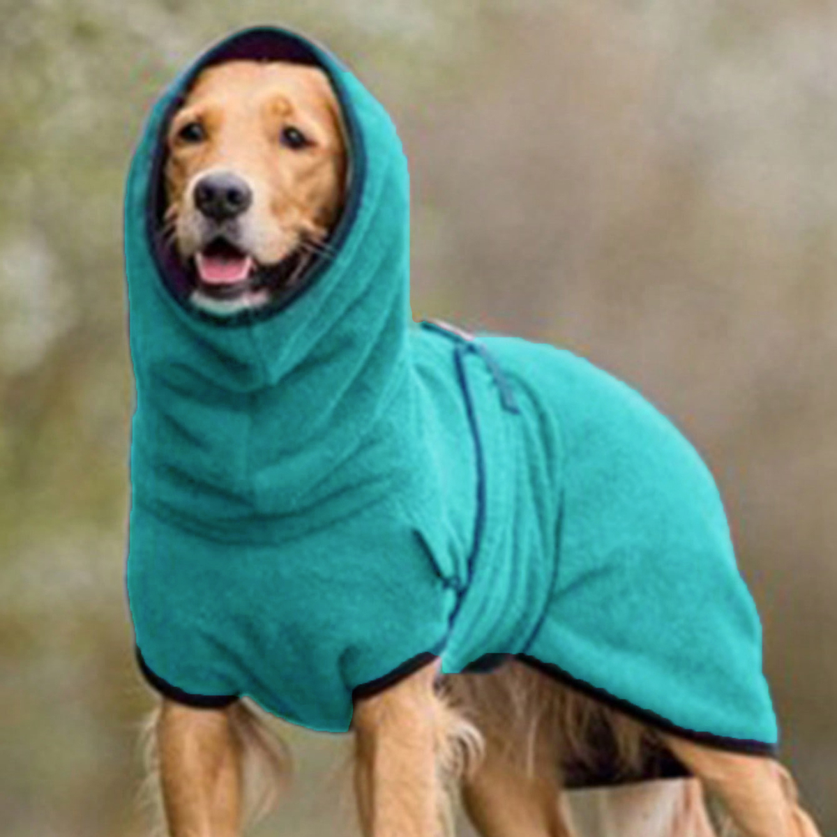 Generic Dog Winter Coat for Whippet, Greyhound Cosy Fleece Jumper, Jacket Lurcher and Clothe with Warm Lining, Adjustable Band M
