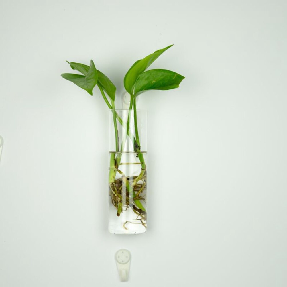 6 former diy klar hängande glasvas blomväxter terrariumbehållare vas mikro landskap bröllopsdekoration: F