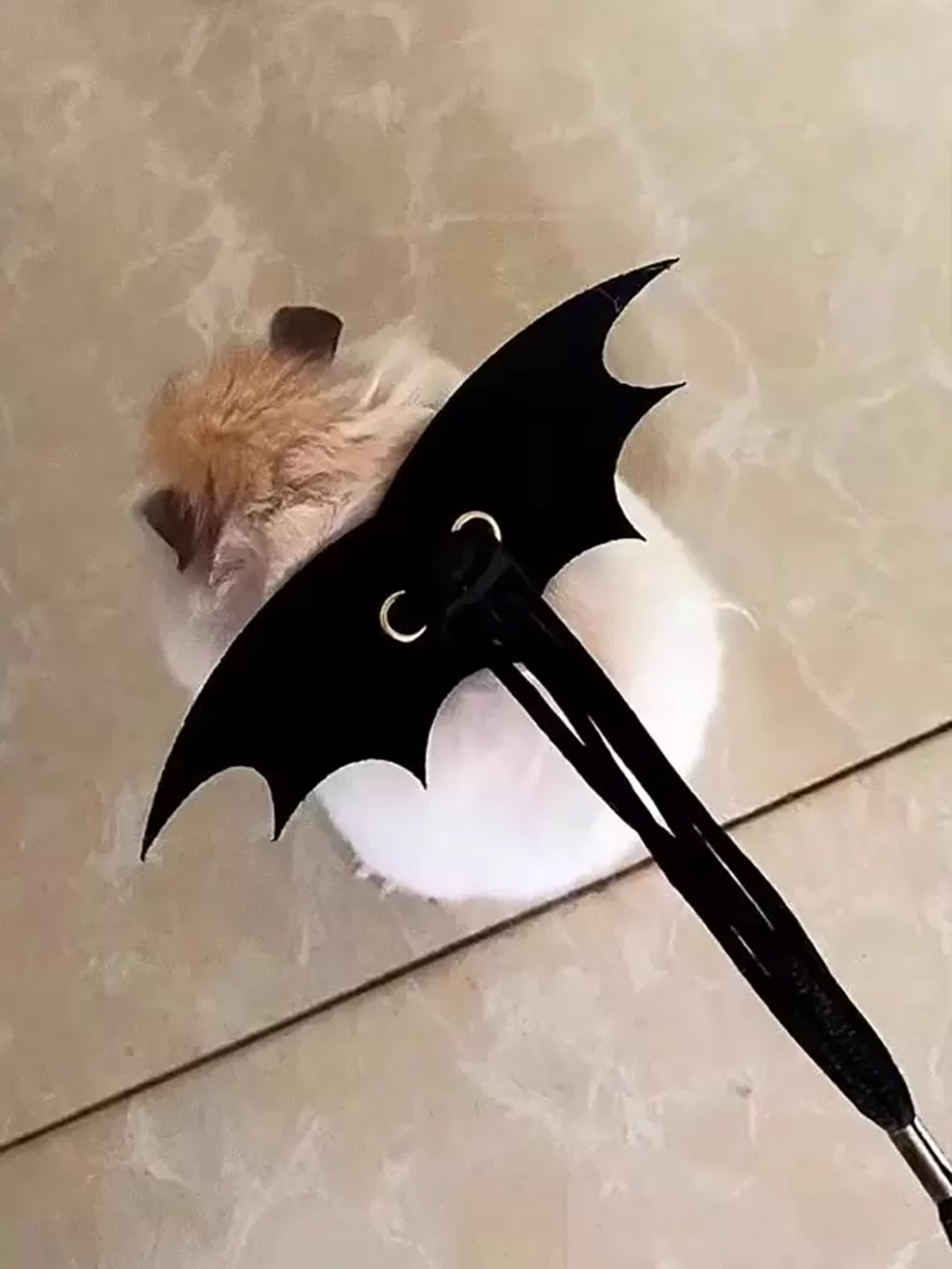 1 st kleine dieren hamster trekkabel riem, hamster bloemtak rat uitgaan riem