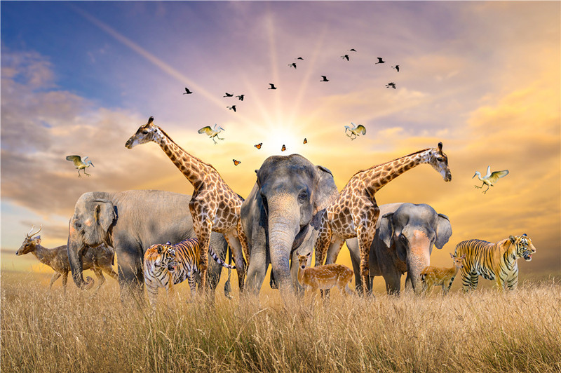 500 pièces Puzzle diverses paysages assemblage photo adultes Anti-Stress Puzzles jouets pour enfants jeux de noël