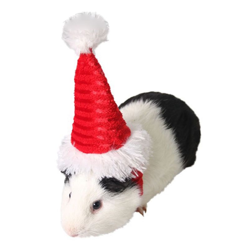 Cute Adjustable Christmas Hat with Elastic Band for Guinea Pig Rabbits Hamster Chinchillas Hedgehogs Small Animals