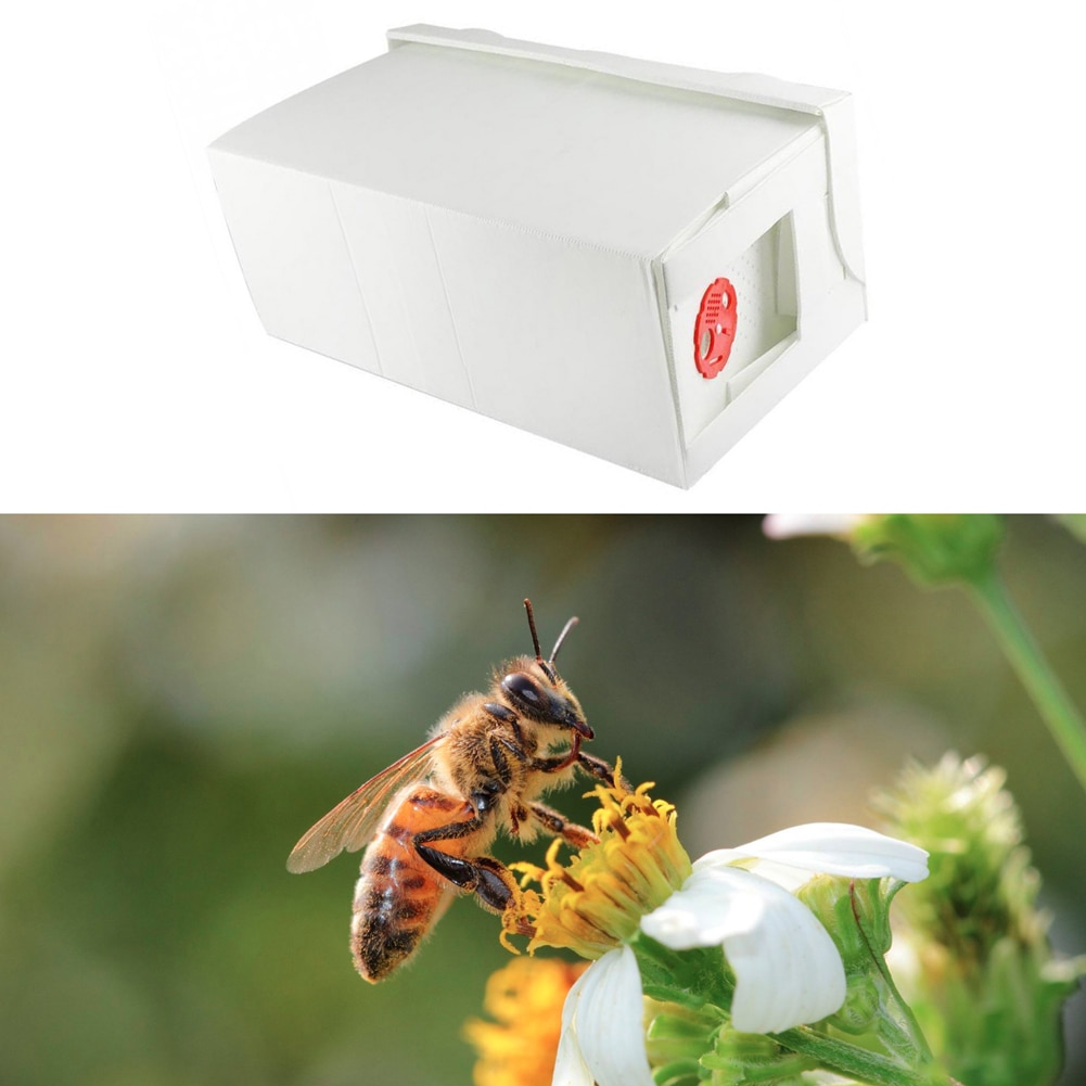 Foldable Cardboard Nuc Box Bee Hive Bee Nuc Beekeeping Beekeeper Equipment Foldable Bee Box for Farm Garden Beeworking Using