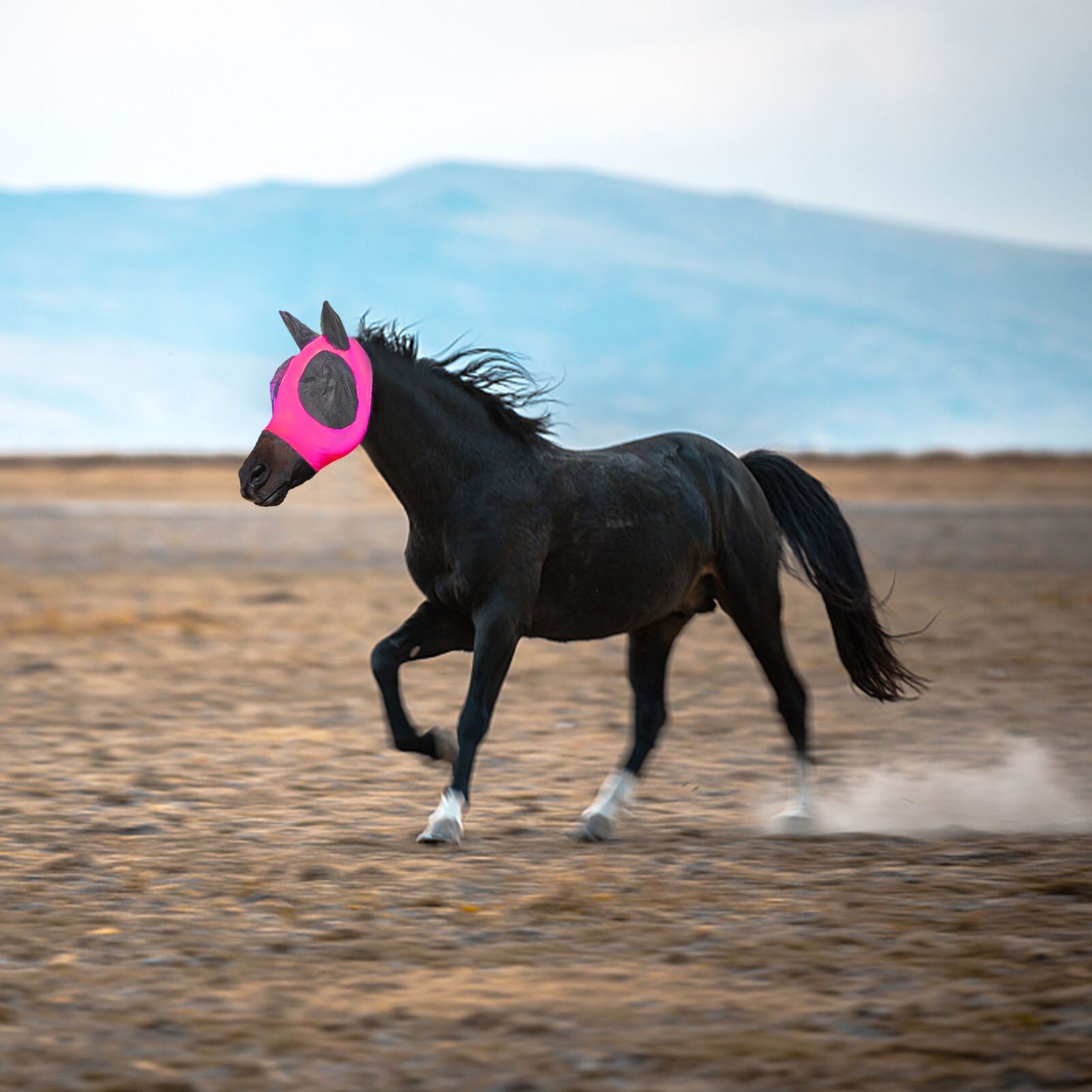 Anti Fly Mesh Equine Mask Horse Mask Stretch Bug Eye Horse Fly Mask With Covered Ears Horse Fly Mask Long Nose With Ears