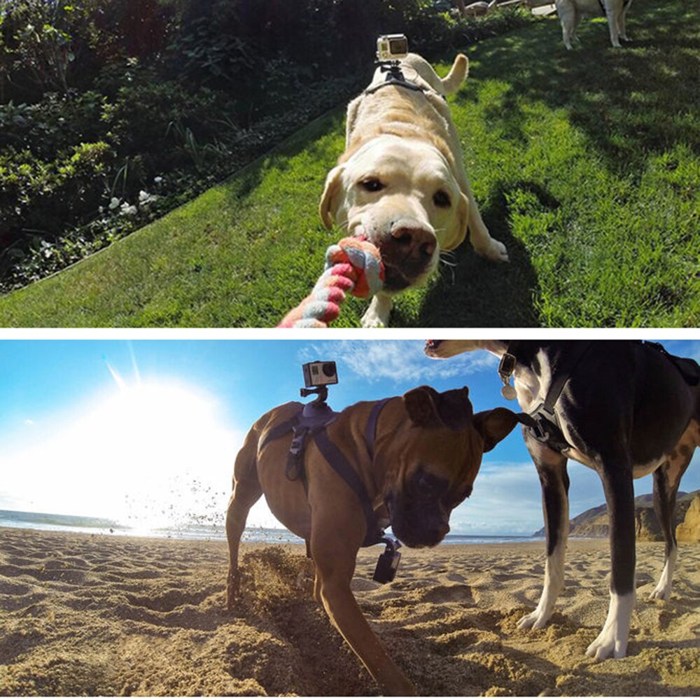 Correa de perro ajustable para Gopro hero8, 7, 6, 5, 4, 3, arnés para perro, correa para el pecho, soporte de montaje para cámara deportiva para SJCAM para Xiaoyi