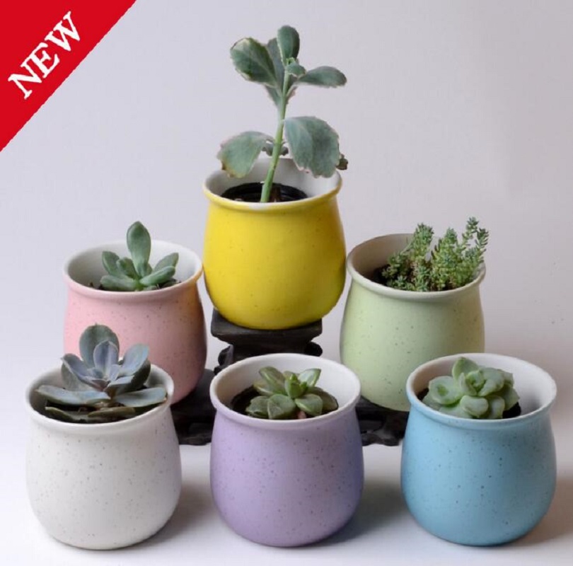 TECHOME-maceta de plantas Multicolor, macarrón de cerámica de alta temperatura, macetas suculentas para flores, decoración de escritorio para el hogar y la Oficina