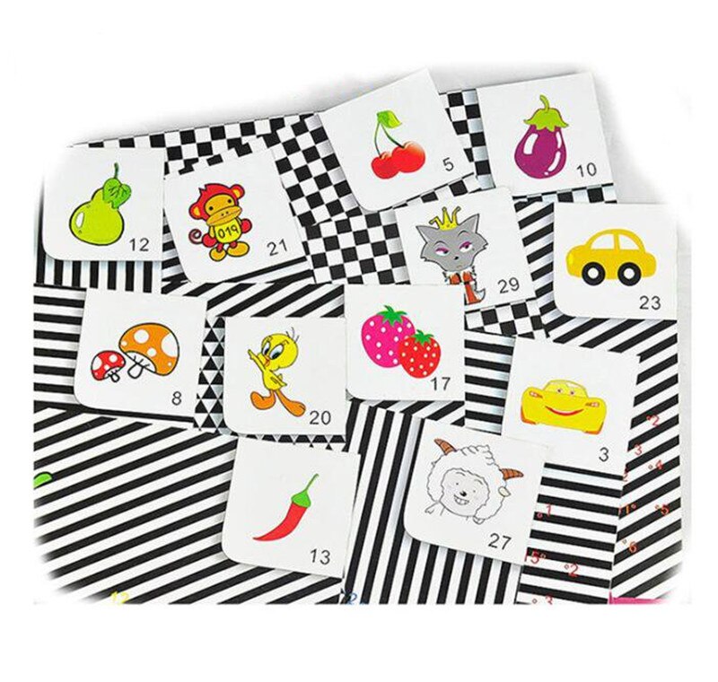 AmblyopiaTraining outils enfant main-dessin cartes CAM Raster Vision formateur