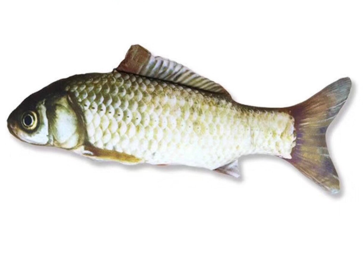 2 stuks/partij elektrisch vis katten speelgoed 11 " grappig interactief huisdier kussen kauwen bijten trap benodigdheden kattenkruid speelgoed perfect voor meerval flop: Groente