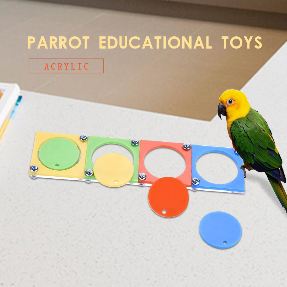 Akryl træning fugl legetøj papegøje pædagogisk legetøj fugl puslespil træning legetøj fugl tilbehør tilfældig farve