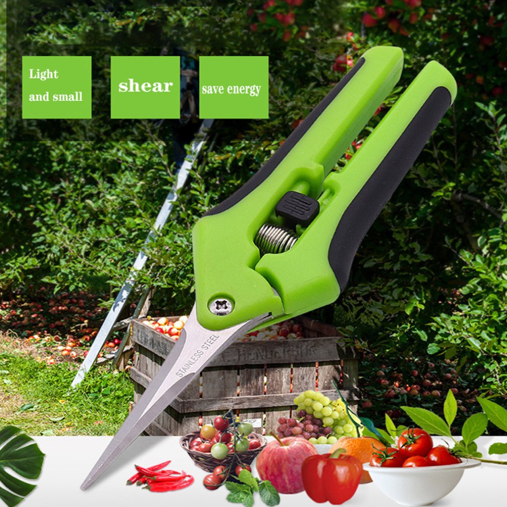 Léger Jardin Cisailles Ciseaux de Jardin Ciseaux de Taille De Cueillette De Fruits Durable En Acier Inoxydable