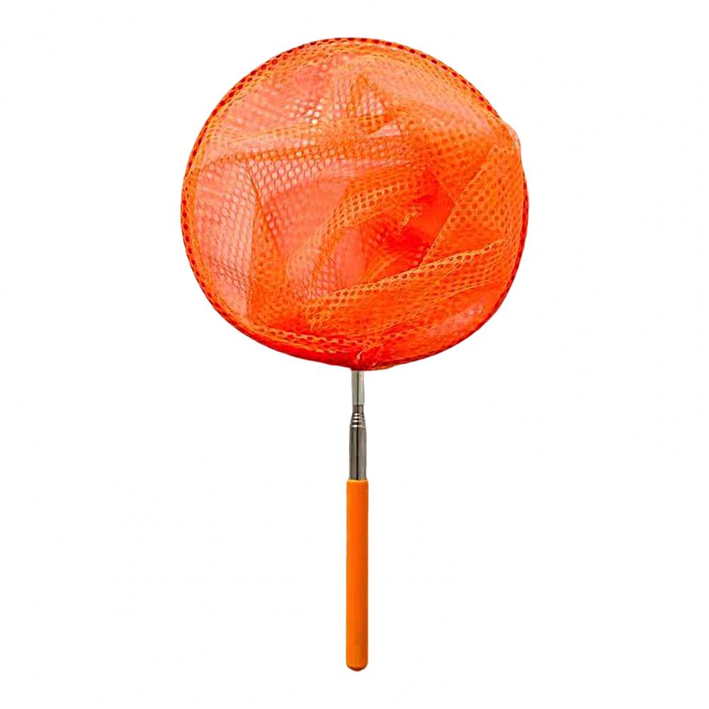 Filet de pêche télescopique pour enfants, filet de pêche en acier inoxydable pour attraper des poissons, filet d'extérieur pour insectes, papillons et libellules: Orange