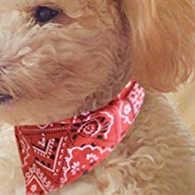 Tang – foulard triangle motif herbe Shiba, grand et petit chien, Akita, serviette, collier, ruban, écharpe de salive