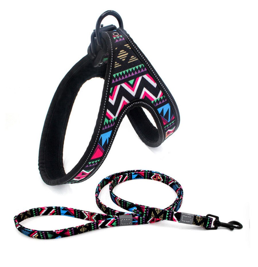 Regenboog Reflecterende Grote Hond Harnas Leiband Set Kleurrijke Veiligheid Comfortabele Zachte Band Vest Walking Leash Voor Medium Grote Honden