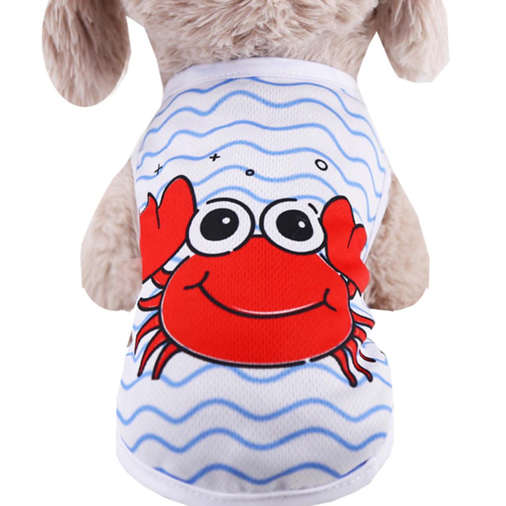 Ropa barata para perros pequeños, Estilos de dibujos animados de verano de primavera para mascotas, camiseta para perros y gatos, camisetas con bonito chaleco transpirable para mascotas Yorkshire K20: White  / L