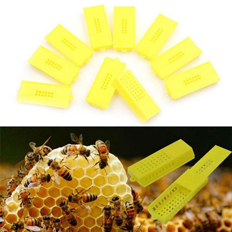 ! 100 Pcs Bee Tools Beekeeping Transport Cages Queen Bee Cages Bee Hive Yellow Bee Isolated Cage Beekeeping