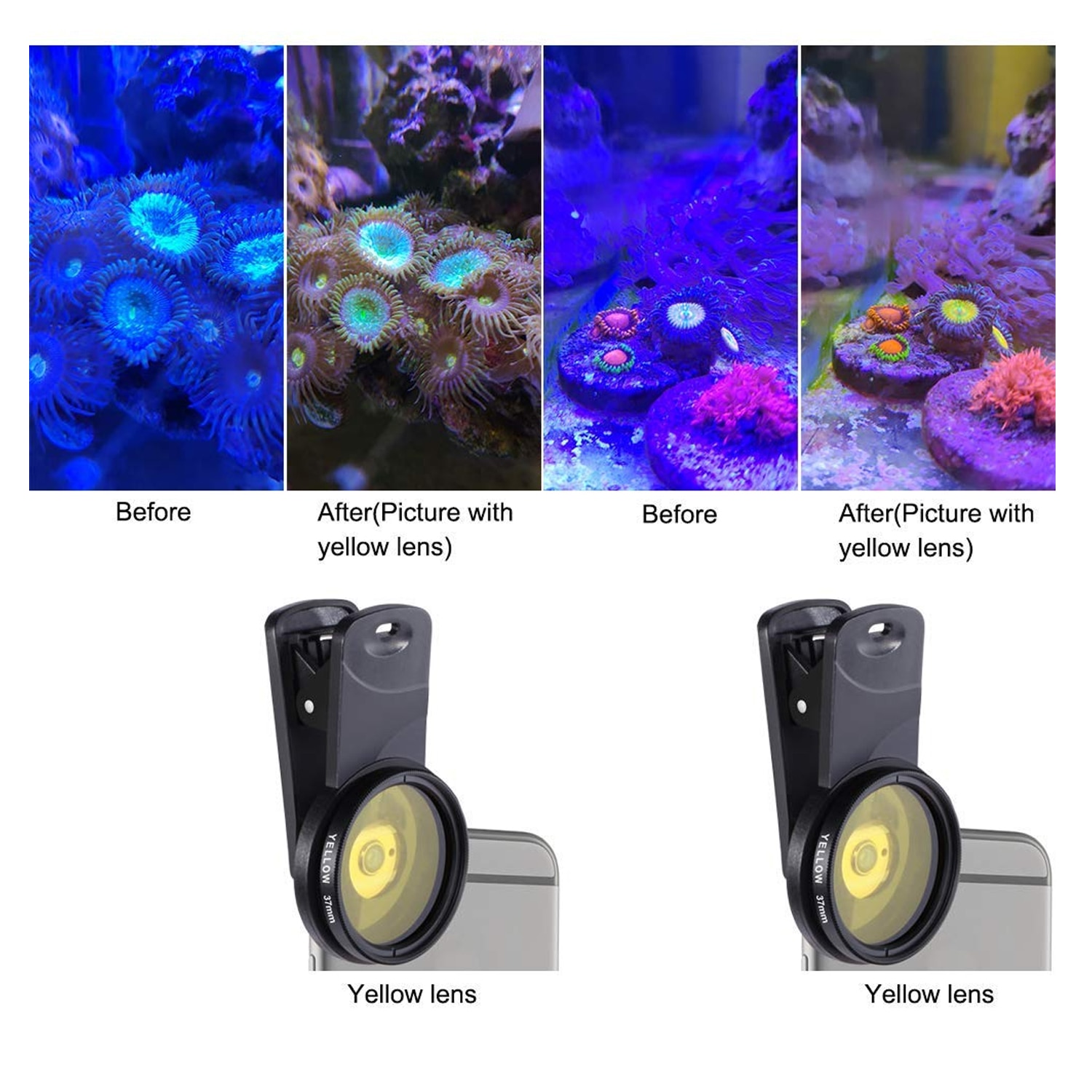 Objectif pour Aquarium, eau salée Marine, corail, récif, caméra, filtres, Macro, pour poissons, Terrarium aquatique