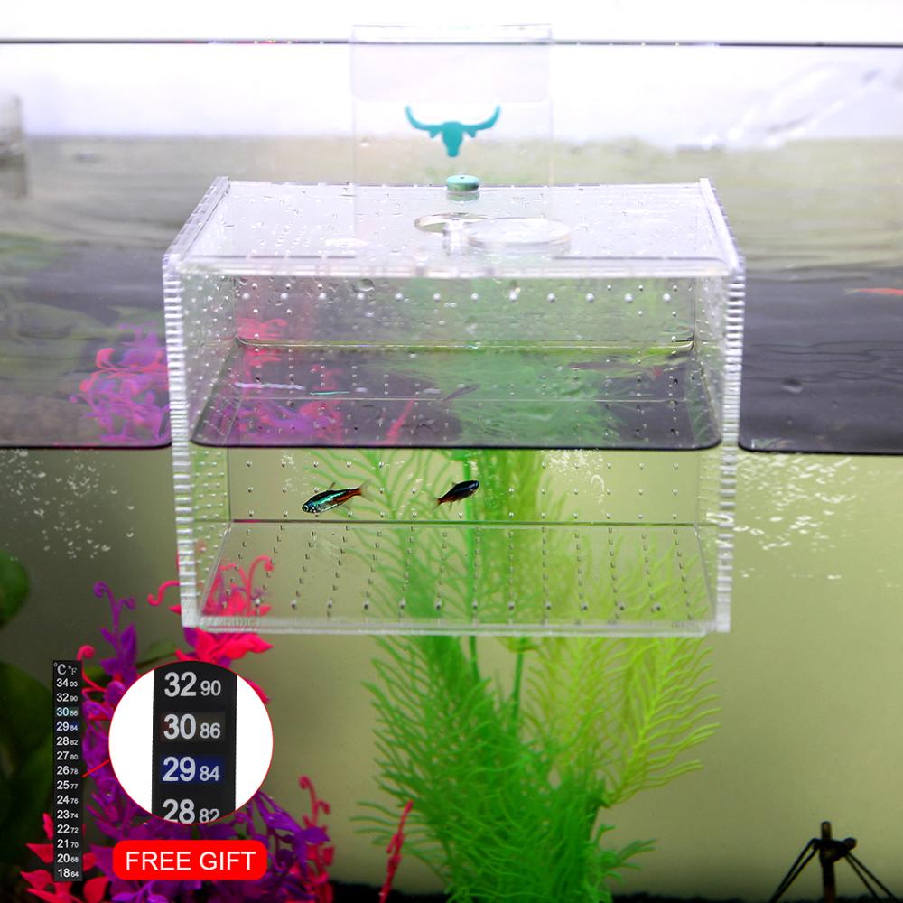 Senzeal Aquarium Acrylic transparent isolation box fish reproduction Incubator Box With Sucker For Baby Fish Hatchery Rooms