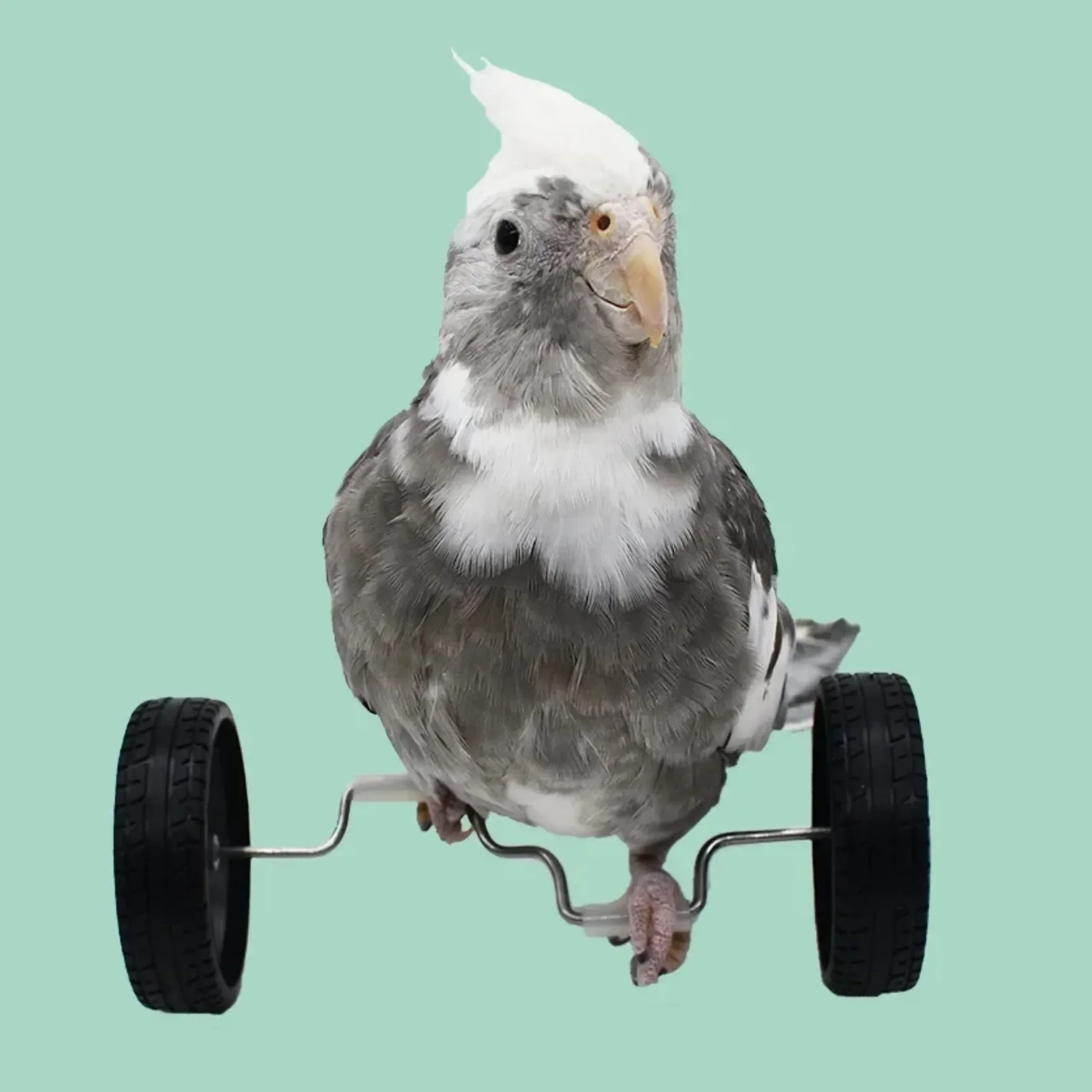 Juguetes para loros grandes, bicicleta, juguete de equilibrio de aves, Mini patines de doble fila, juguetes de entrenamiento para pájaros pequeños, ruedas giratorias, bicicleta para pájaros