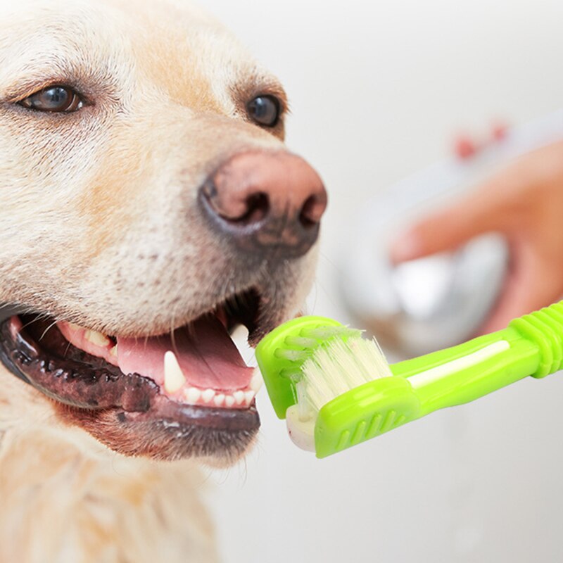 RainbowSmile Pet Plush Toothbrush: Dental Care and Tartar Cleaning Brush - The Nevermore Pet Health Products