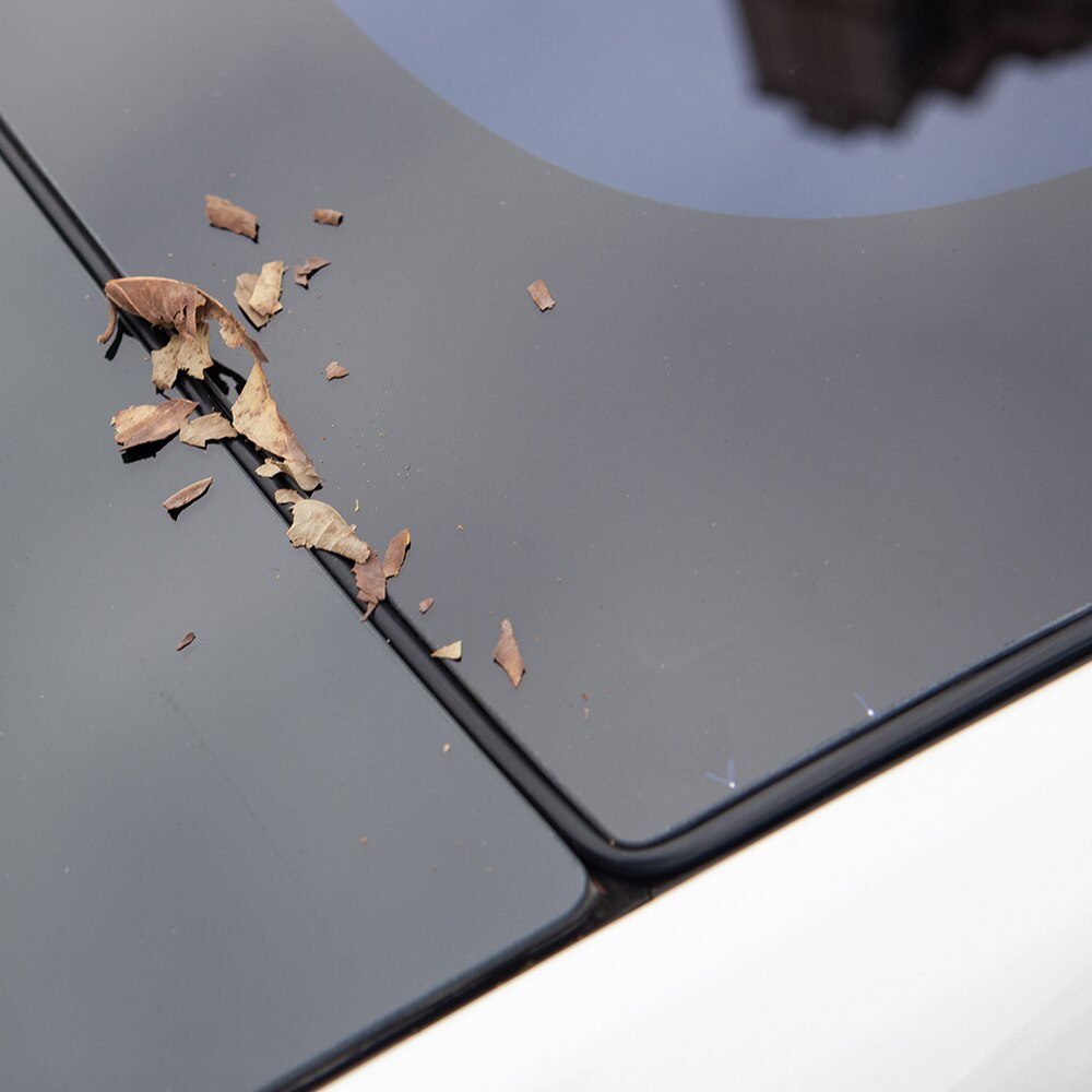Modell 3 bil vindstøyreduksjonssett stillegående tetningssett for tesla modell 3 tilbehør takvindu glass tetningslist modell tre