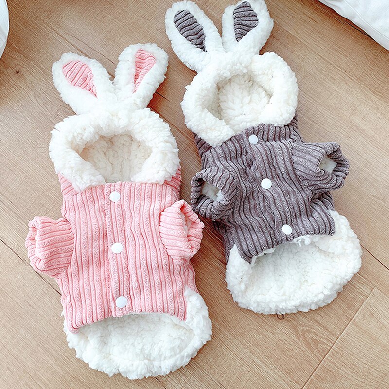Animal de compagnie automne et hiver vêtements chauds mignon Costume lapin 2 pattes coton rembourré manteau pour chien