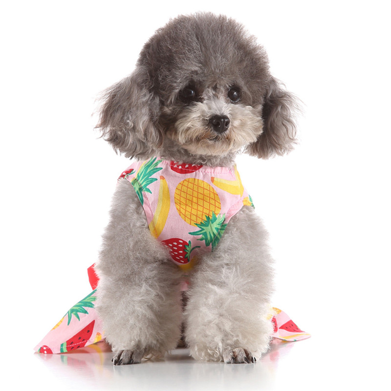 Pet Spring And Summer Fine Fruit Print Dog Costumes Pet Dog Skirt Pet Dresses For Small Large Dog Bubble Skirt Stripe Lace A1