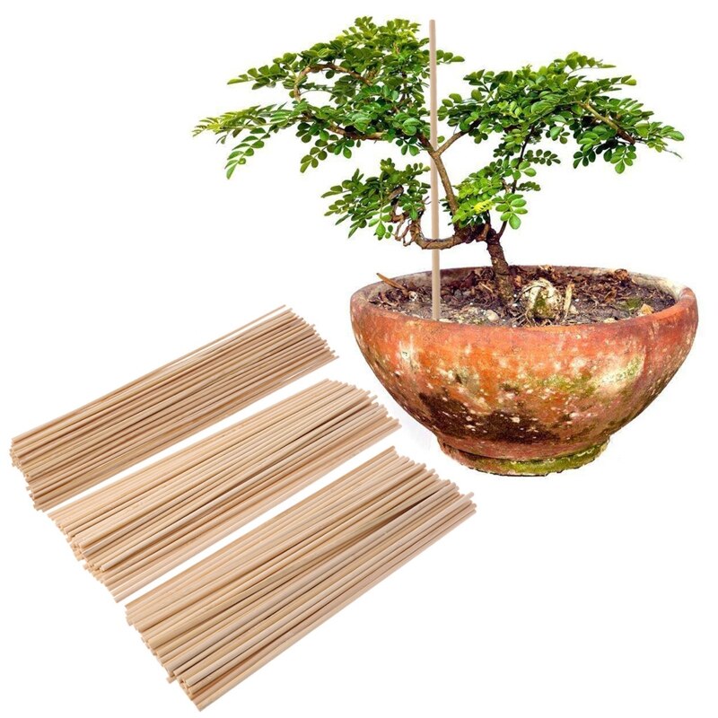 50Pcs Wooden Plant Grow Support Bamboo Plant Sticks Garden Canes Plants Flower Support Stick Cane Garden Tools