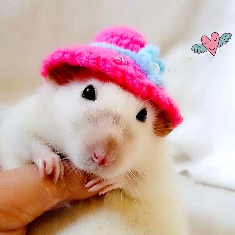 Streifenhörnchen Kleidung Streifenhörnchen Kleidung Hamster Kleidung Mini Hütte Kleine Hamster Winter Handgemachte Wolle Kleidung: Hut