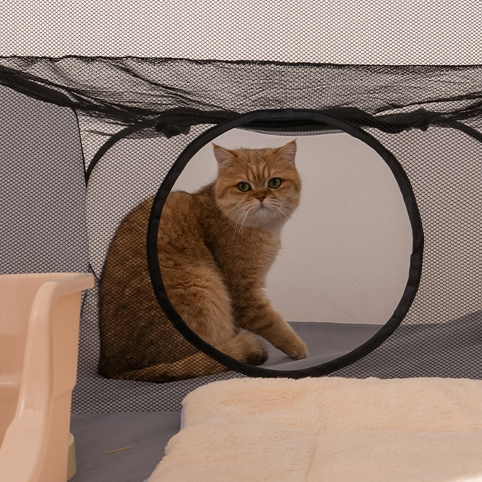 Tubo de túnel para gatos, casa de juegos práctica doblada para hámster, conejito, tienda de campaña plegable para interiores, juguete divertido para gatitos