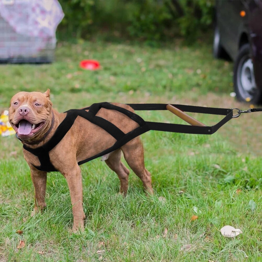 Arnés de trineo para perros medianos y grandes, accesorio suave y duradero, acolchado, para tirar del peso