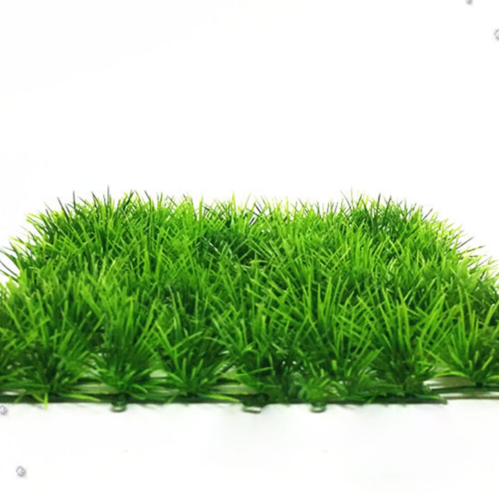 Aquarium Plant Fijne Dennennaald Gazon Groeiende Aquarium Water Plant Gras Zaad Aquarium Gazon Decor