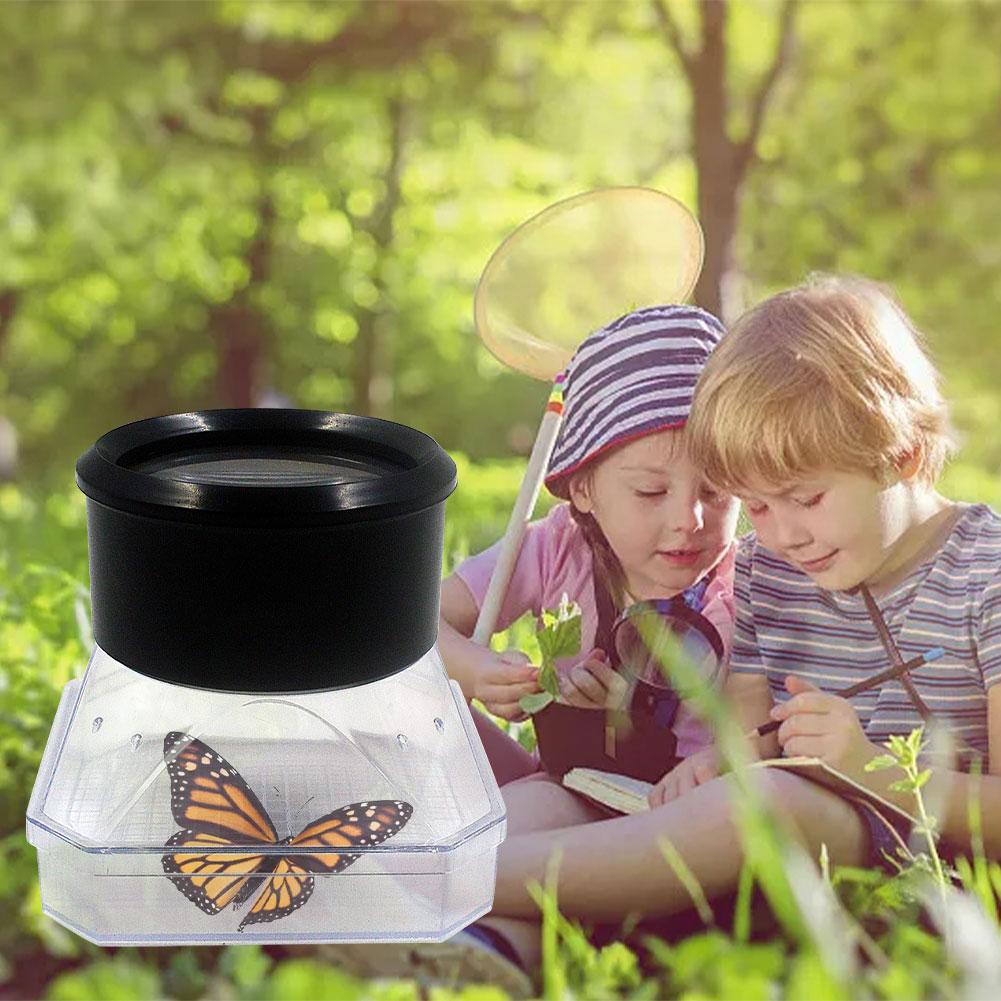 Reptile Terrarium Breeding Incubating Box Spider Frog Box Lizard Snake Turtle Tank Cylinder Cage Fish Tank For Eggs Incubation