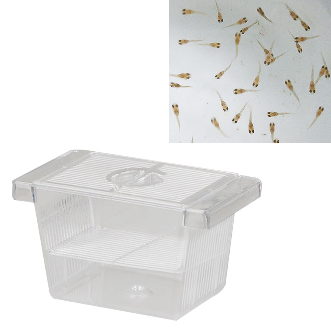 Fish Breeder Box Breeding Hatchery House Baby Fish Aquarium Hatchery Incubator Holder Isolation Net Fish Tank Incubator Box