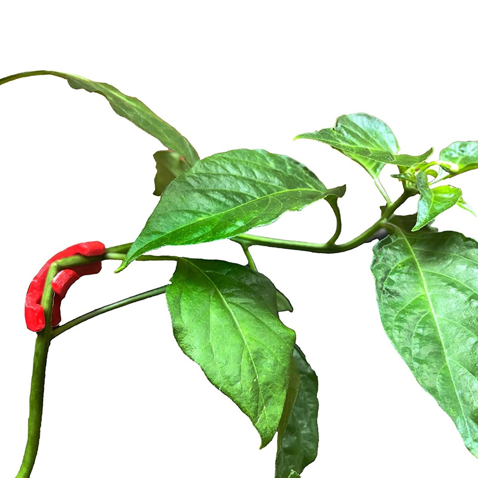 1-35 Pcs Bend The Plant Clips 45/90 Degree Plant Bender For Low Stress Training And Red Plants Training Curved Plant Holder