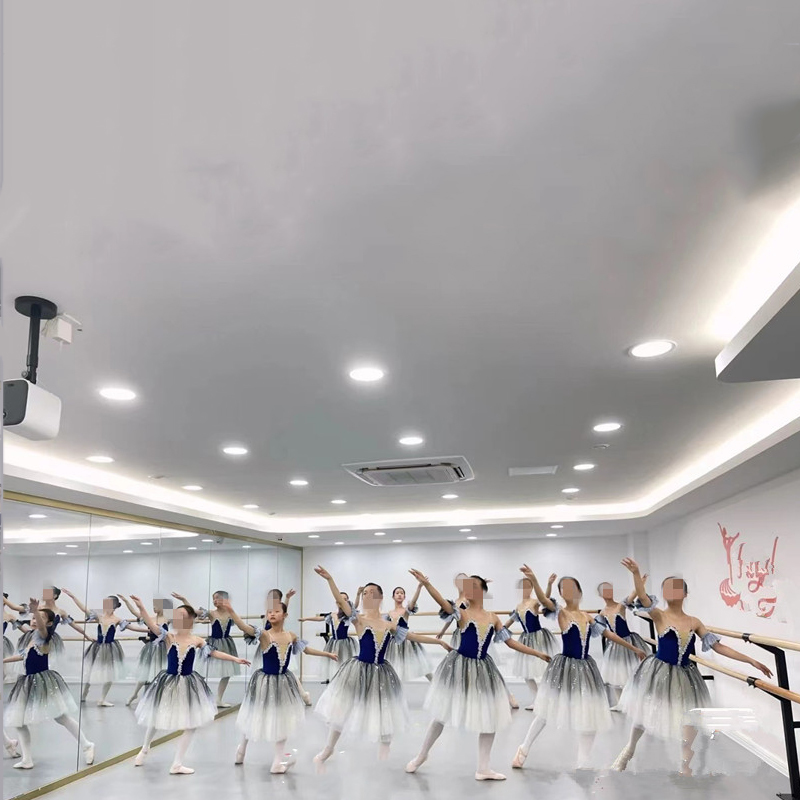 blu adulto lungo tutù professionale bianco cigno lago balletto costume balletto tutù balletto vestiti prestazione Dancewear velluto superiore