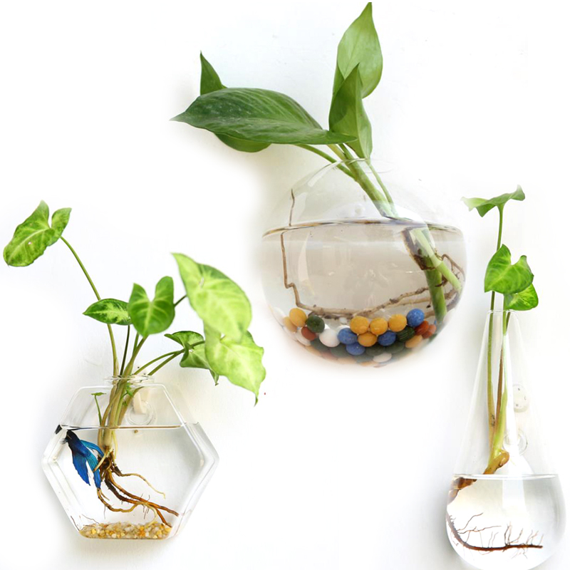 Maceta de cristal colgante creativa terrario florero decoración de la pared del jardín del hogar florero claro colgante tanque recipiente acuario decoración del hogar