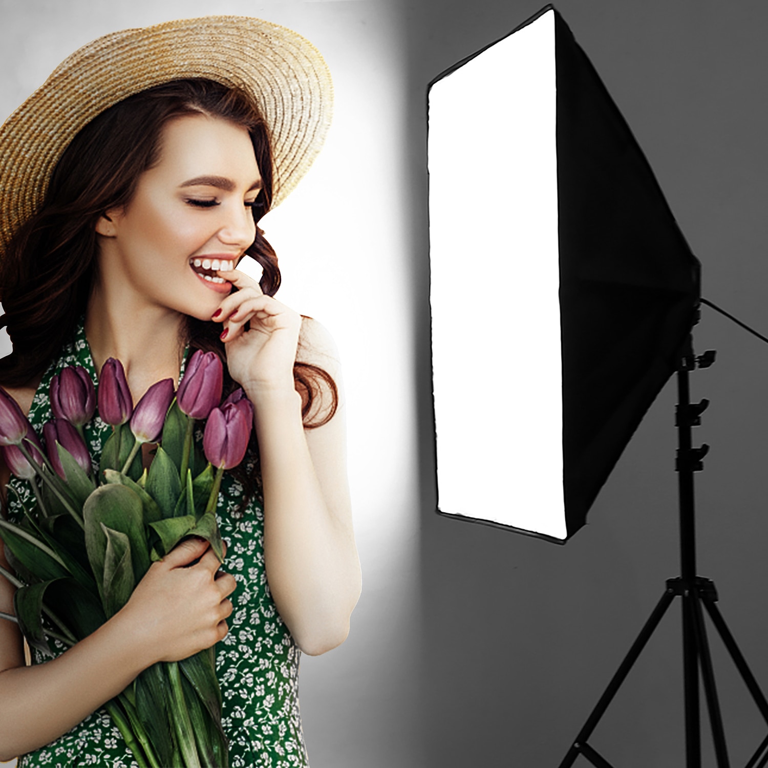 Photography Lighting 2m Light Tripod stand +50*70CM Photo Studio Softbox +50W Dimmable LED lamp Bulb For Camera Phone Shooting