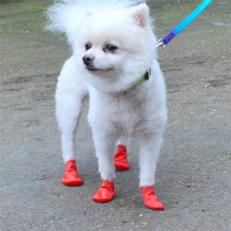 1Set Waterdichte Hond Schoenen Blauw/Rood/Oranje Rubber Regen Laarzen Schoenen Voor Kleine Honden Kat S/M/L