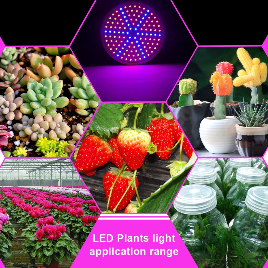 E27 mr16 gu10 led-pære vekstlys 48 60 80 lysdioder 9w 12w 15w led vekstlys fullt spekter fitolampy rød blå for hydroponikksystem