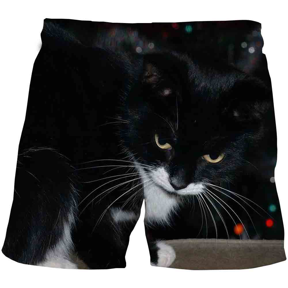 Newest Cat 3D Printed shorts Casual Short Pants Printed 3D shorts children casual