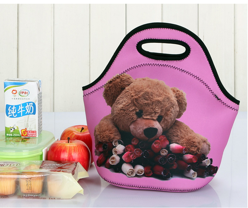 Waterdichte Lunch Tas voor Vrouwen kinderen Mannen Cooler Lunchbox Tas Tote canvas lunch tas Isolatie Pakket Draagbare: style4