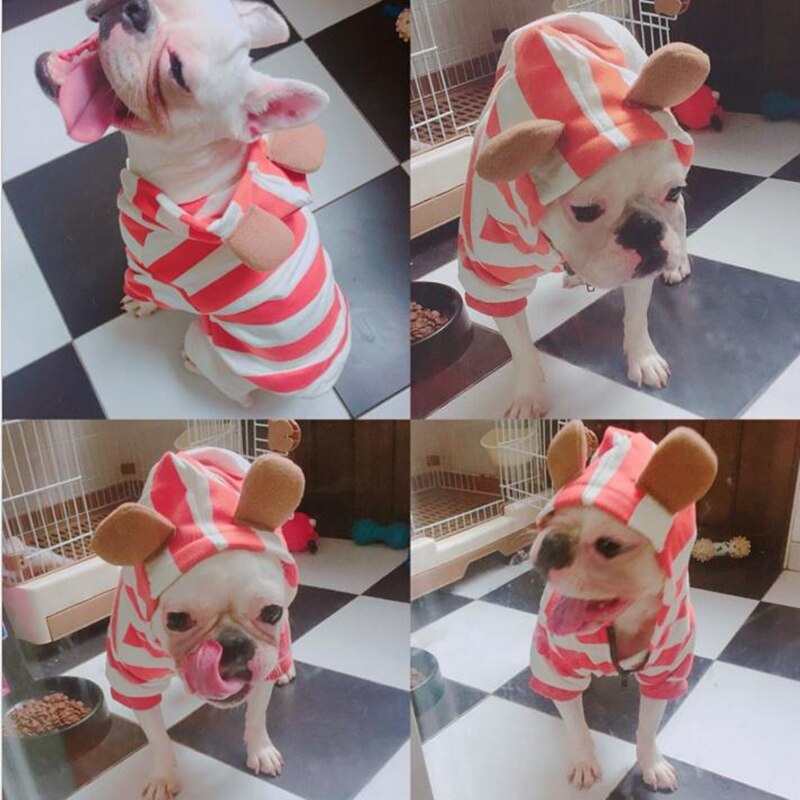 [& mpk butik] husdjur hund fransk bulldog kläder orange rand med dragkedja, hund kläder, sällskapsdjur kostym