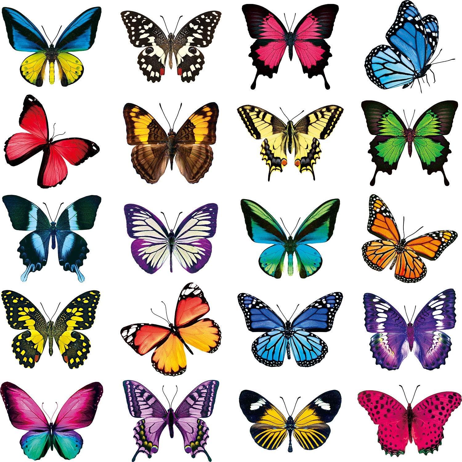 20 stk butterfly vindue klistermærker anti-kollision vindue klæber mærkater genanvendelige farvet glas vindue film væg klistermærker 3d klistermærke: Default Title