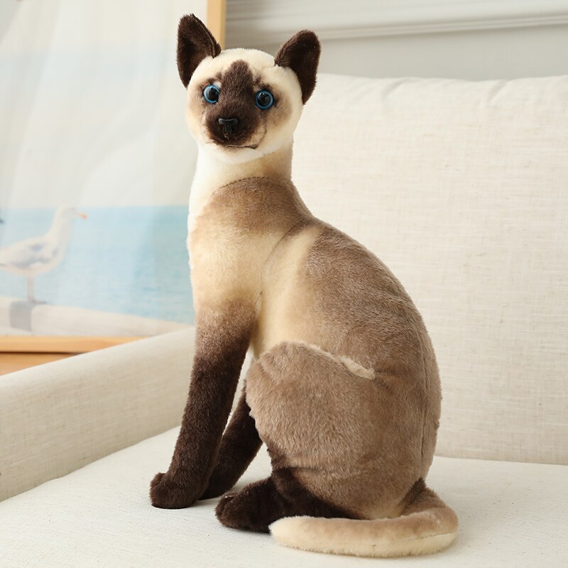 Peluche de chats siamois en peluche, simulation de chats américains courts, jouets pour animaux de compagnie, décoration de maison, d&#39;anniversaire pour enfants: 3 / 35cm