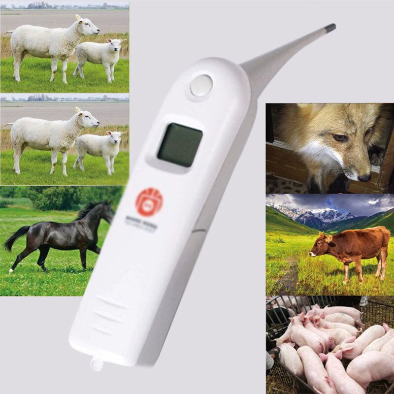1 * Elektronische Thermometer Met 2 Aaa Batterijen Anus Thermometer Snelle En Nauwkeurige Testen Dierbenodigdheden