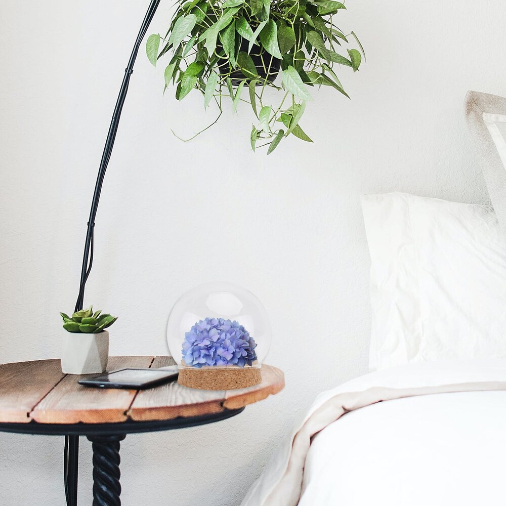 2pcs Round Shaped Glass Display Cover Glass Jar Container Preserved Flower Cover