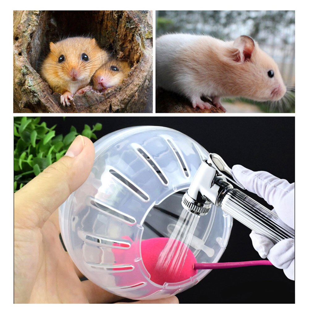 10/12cm Hamster Running ball Hamster Ball Toys Exercise Jogging Running Balls for Small Pet Chinchilla Rodent Gerbil Rat Product