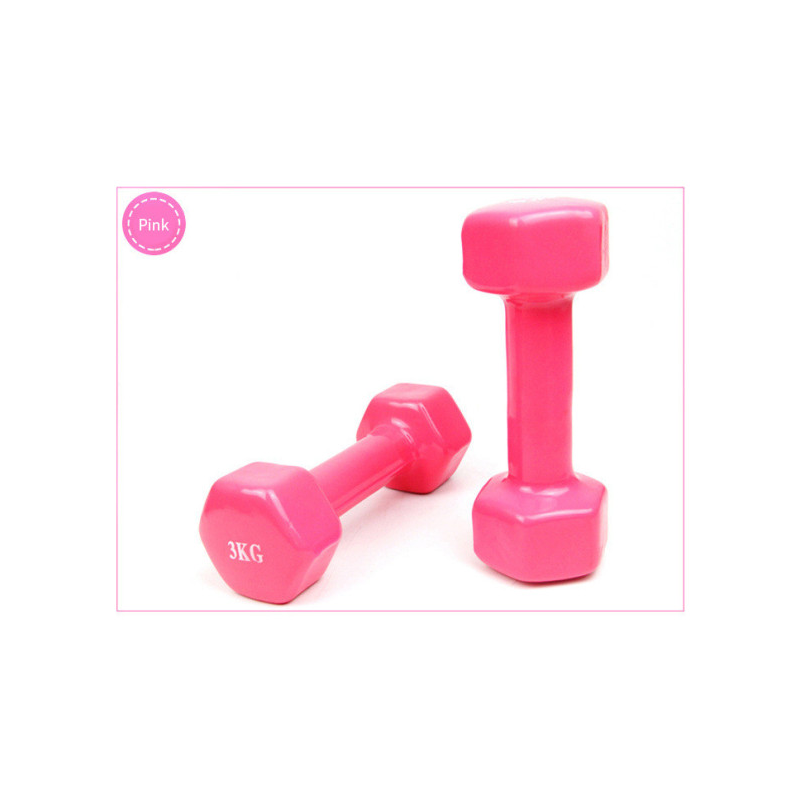 New1Kg Fitness Dumbbell women's fitness dumbbell Arms For Fitness Gym sports goods equipment 2pc: Smooth pink 1kg
